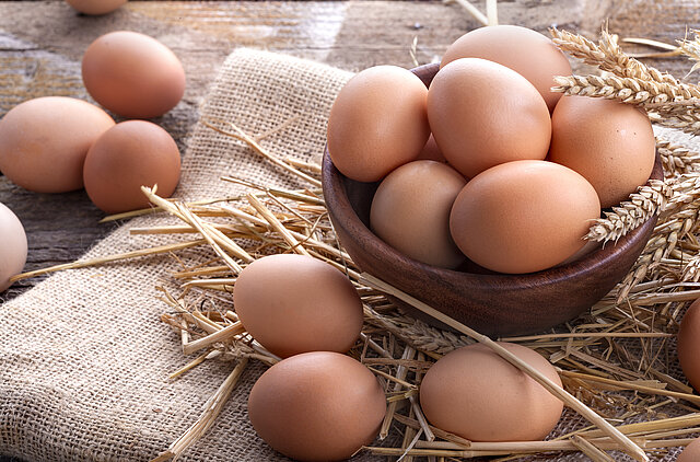 Eier vom Geflügelhof Burmester