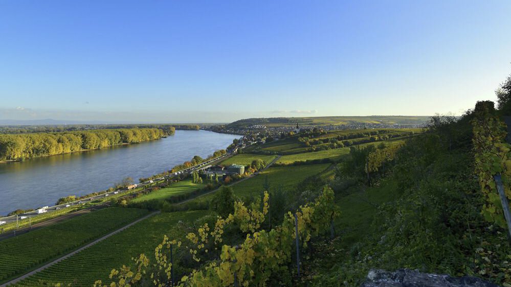 Weingut Seebrich