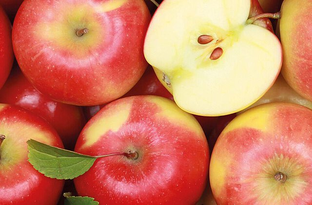 Äpfel vom Obsthof Schuback